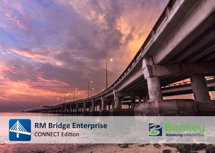 RM Bridge Enterprise CONNECT Edition V11 Update 8中文破解版下载(含安装视频教程)