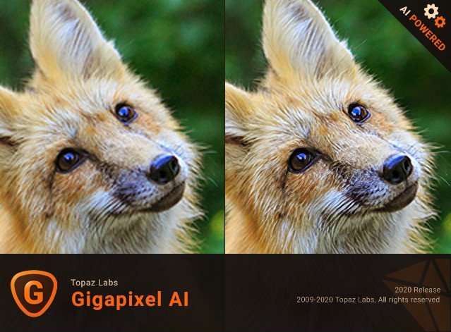 提高照片的清晰度，放大图片软件Topaz Gigapixel AI 5.0.1破解版下载
