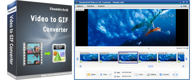 ThunderSoft Video to GIF Converter 3.5.0破解版下载
