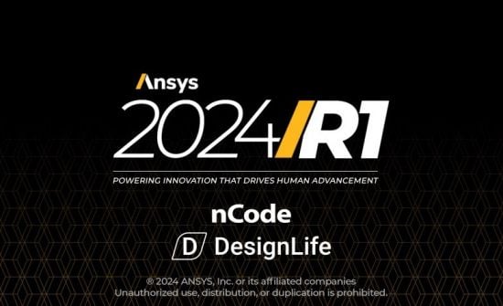 ANSYS 2024 R1 nCode DesignLife x64